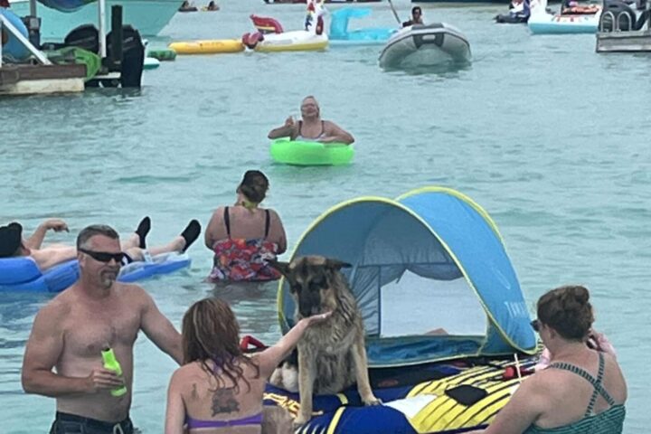 Crab Island Charter in Destin. Florida